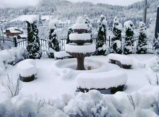 Виллы Hostynnyy Dvir Apartament Hotel Славское Вилла с 2 спальнями-44